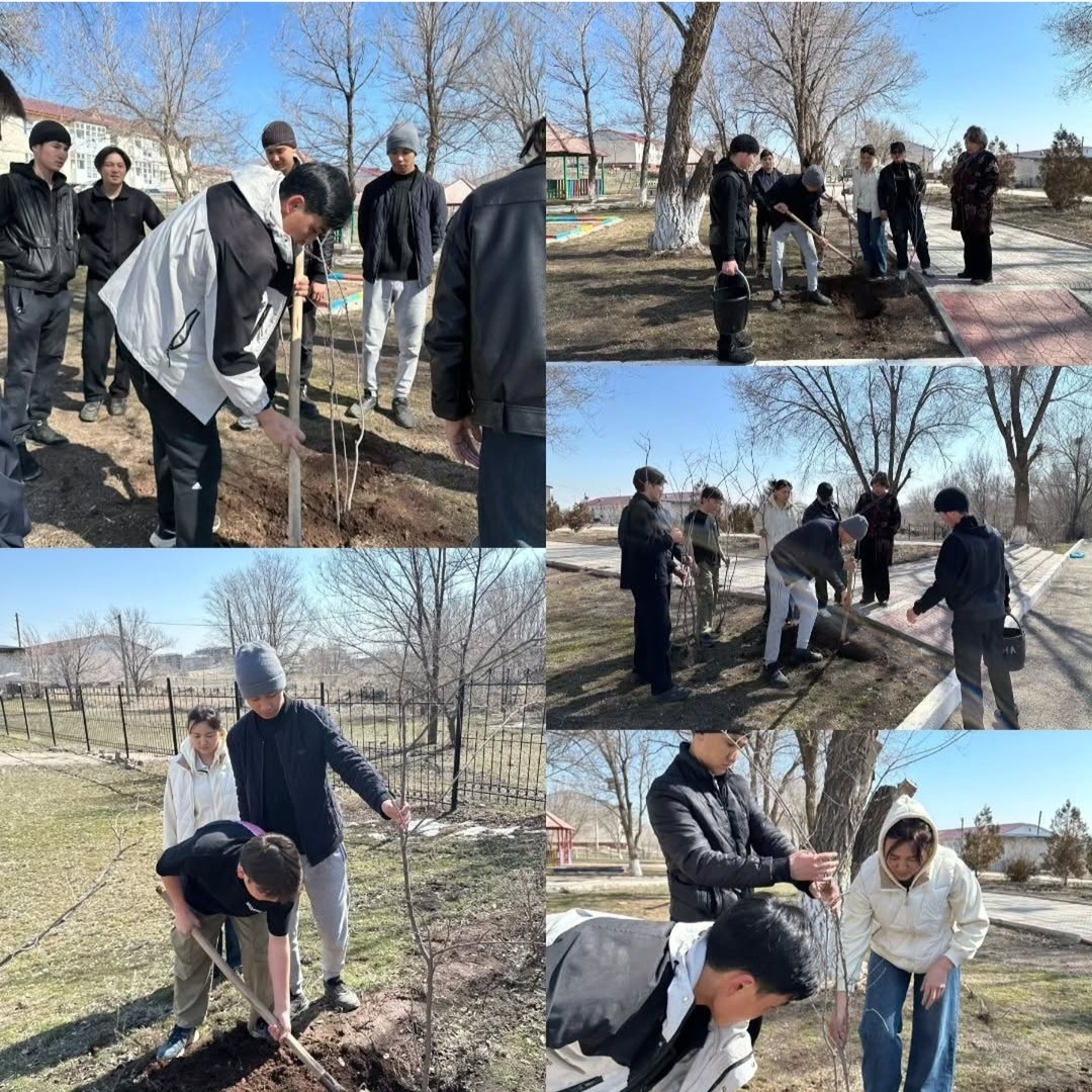 "Қамқор" жобасы аясында "Түлектердің ағаш егуі" эко -челленджі